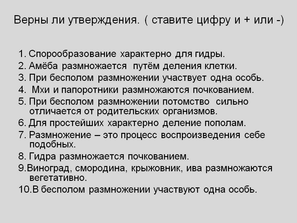 Рабочая ссылка кракен в тор